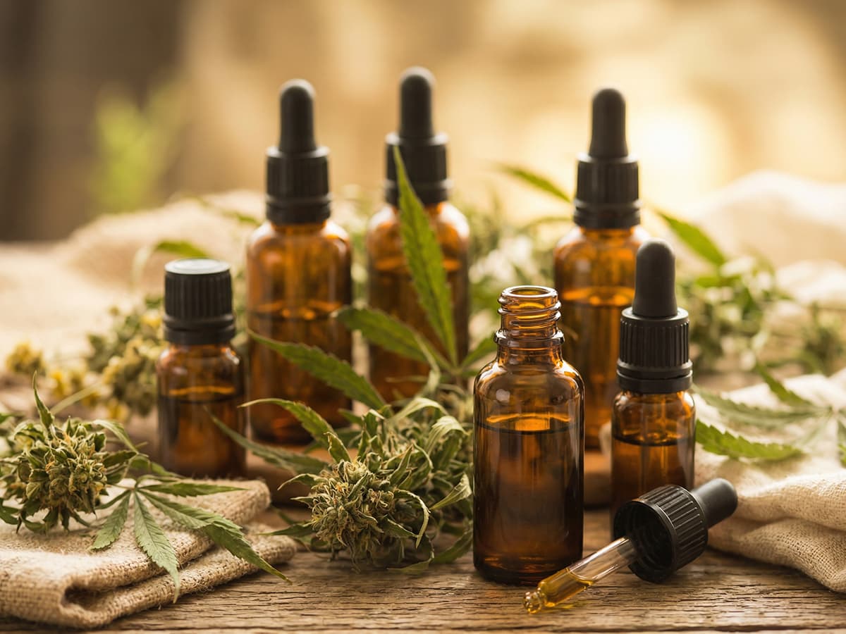 Forever Dog Serene® — Extracto Medicinal formulado por veterinarios para perros con estrés, ansiedad o dolor crónico