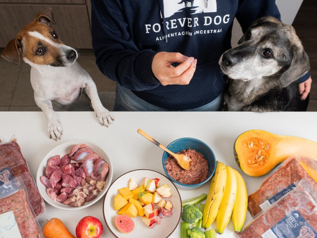 Menú especializado Forever Dog — dieta natural formulada para perros con condiciones de salud diagnosticadas