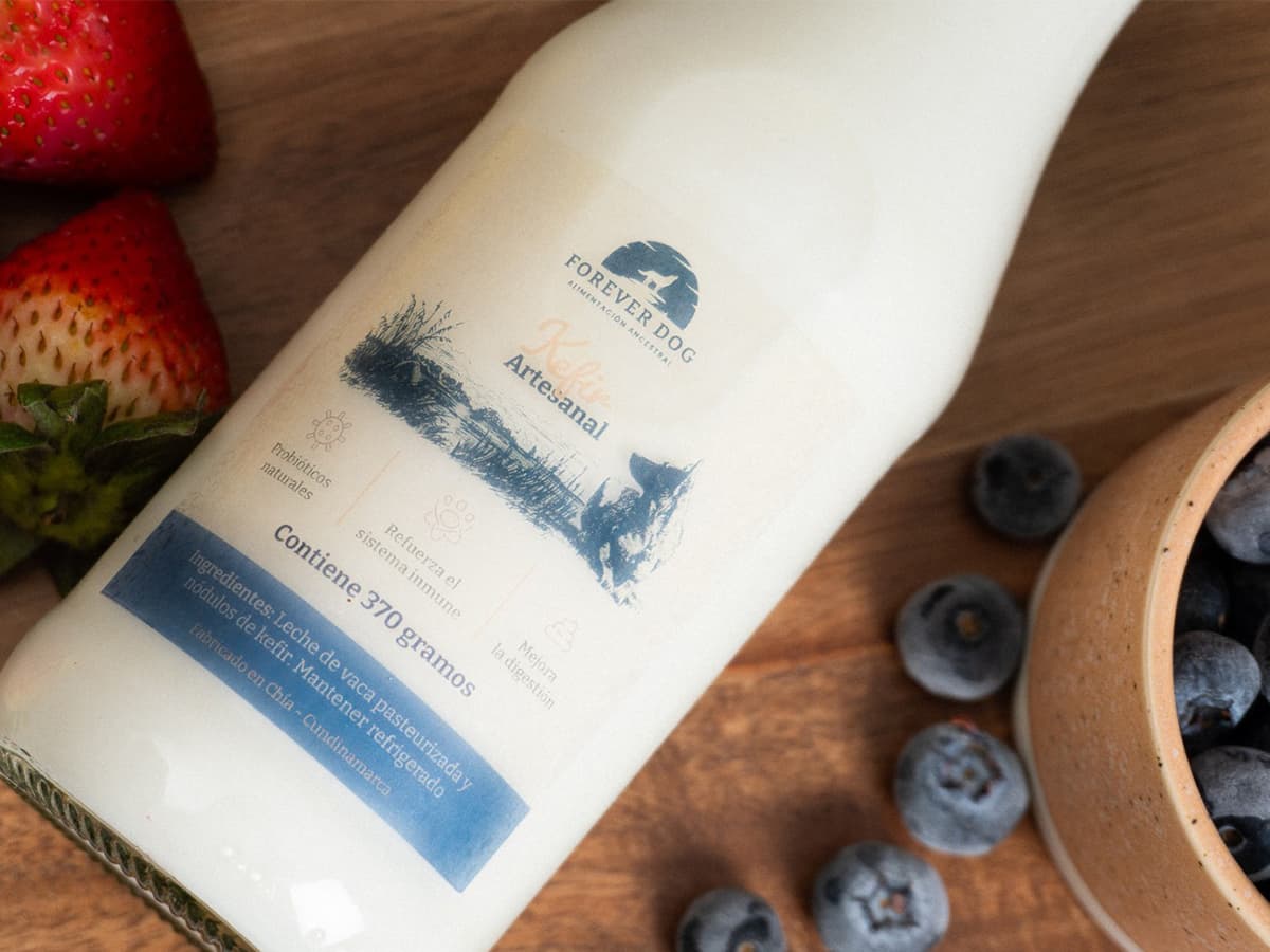Suplementos naturales Forever Dog — kéfir, yogurt griego y bone broth para perros