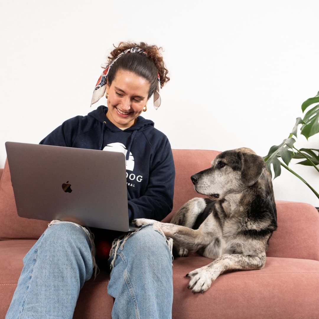 Cuéntanos quién es