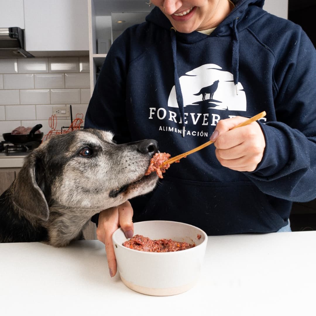 Llega a su puerta, listo para servir